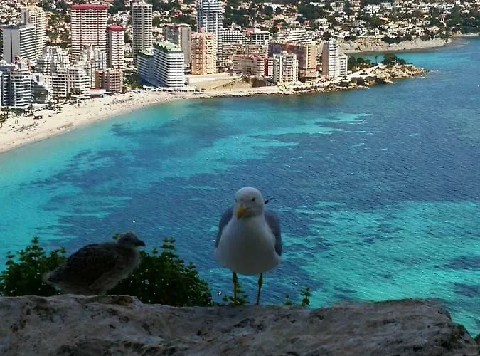Voramar Calpe